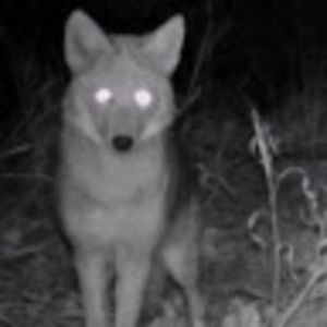 Meet your Posher, Mia